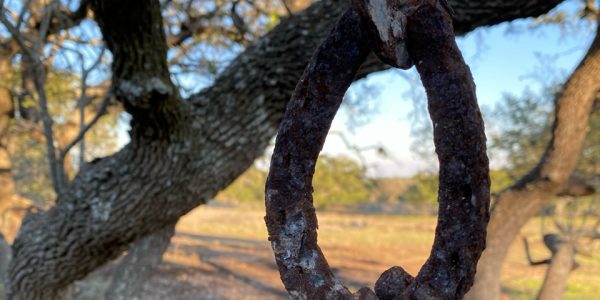 Everything Under The Sun